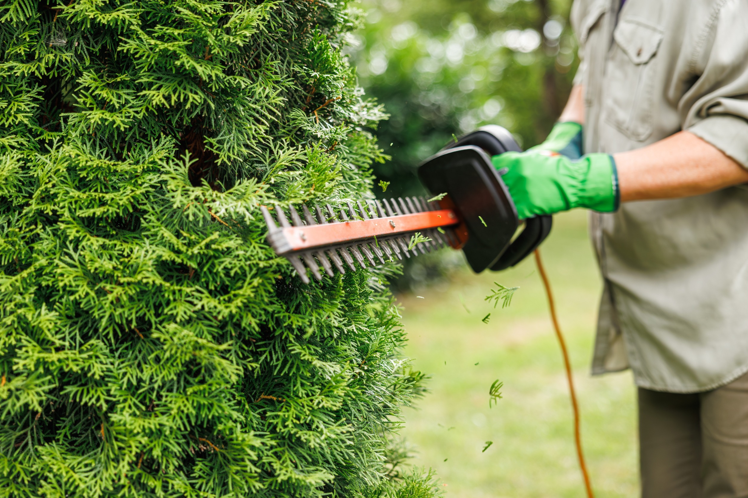 Professional Landscape Lighting in Maumelle Arkansas